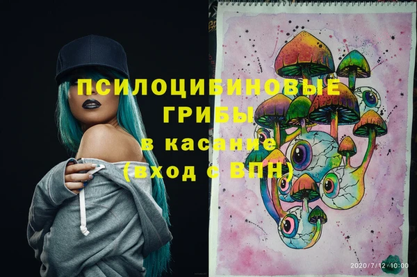 шишки Анива