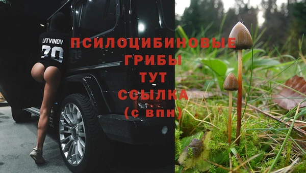 шишки Армянск