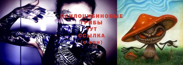 шишки Армянск